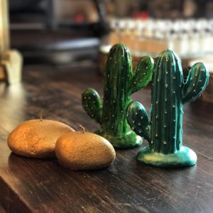 kaktus-mum